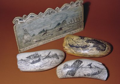 Scrimshaw di balena (dente) da American School